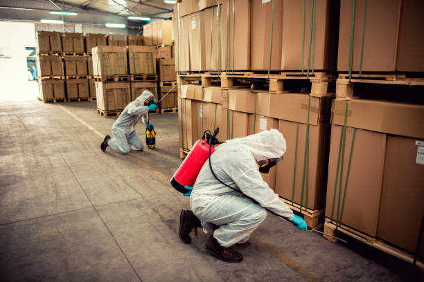 Best Best Pest Control Companies  in Hartley, IA