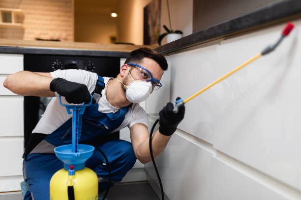 Best Cockroach Control Services  in Hartley, IA