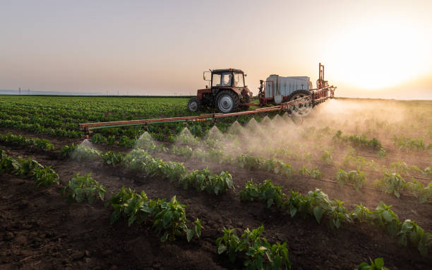 Best Affordable Exterminators  in Hartley, IA